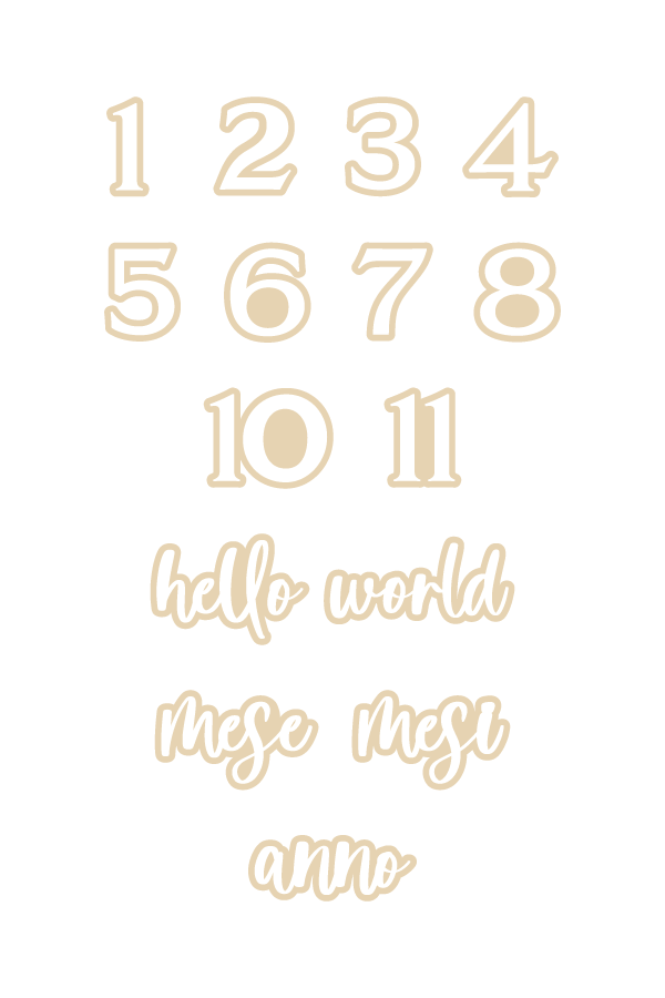 Interchangeable Milestone Set Boho Flower